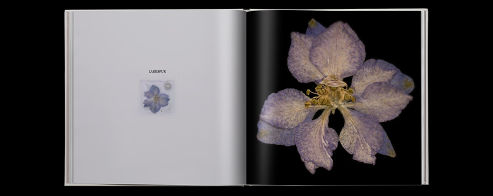Pressing matters - Flower book