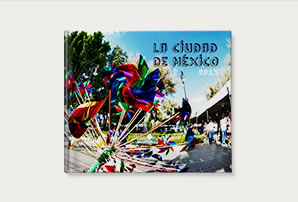 Mexico Travels 2013 - Sasha Netchaev