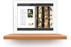 Beekeeping: A Novice's Guide - David Wootton