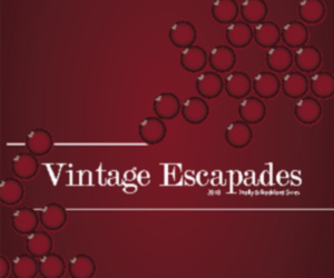 Wine Bookstore - Vintage Escapades
