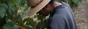 Wine World Ralph Hodgson