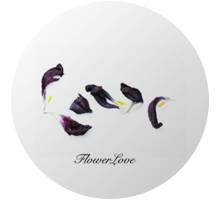 Culture books - Flower Love