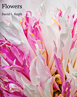 Flowers - David Smith