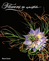 Flowers, a portfolio - Sharon Garner