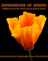 Impressions of Spring - Rob Badger and Nita Winter
