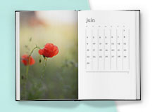 Gift ideas - Planners